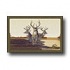 Milliken Realtree Collection 3 X 4 Team Realtree Bucks Vii Area