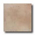 Armstrong Terra Blend 18 X 18 Terra Blend Tile & Stone