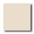American Olean Subtle Steps Ii 8 X 8 Classic Bone Tile & Stone