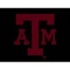 Logo Rugs Texas A  and  M University Texas A and m Entry M