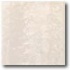 Daltile Landscape (unpolished) 12 X 12 Paros Unpolished Tile & S