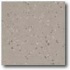 Daltile Porcealto (unpolished) 8 X 8 Grigio Elba Tile & Stone