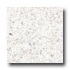 Fritztile Green Tile Grn800 1/8 Winter White Tile & Stone