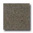 Santa Regina Designer 24 X 24 (polished) Pecan Brown Terrazzo Ti