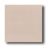 Daltile Designer Colours 8 X 8 Taupe Tile & Stone