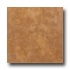 Emser Tile Paradiso 12 X 12 Terracotta Tile & Stone
