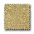 Mirage Tile Tear Drop 11 X 11 Cappuccino Tile & Stone