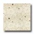 Santa Regina Designer 24 X 24 (natural) Cedar Fleck Terrazzo Til