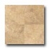 Daltile Marble Honed 16 X 16 Damascus Gold Tile & Stone