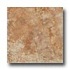 Geo Ceramiche Celtic 20 X 20 Cotto Tile  and  Stone