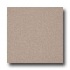 Armstrong Medintech Tandem Inlaid Pumice Stone Vin