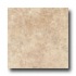 Esquire Tile Urbino 8 X 13 Amber Tile & Stone