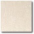 Daltile Landscape (polished) 12 X 12 Hydra Polished Tile & Stone