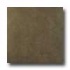 Portobello New Age Stone 18 X 18 Natural New Age Wood Tile & Sto