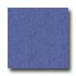 Rubber Products Bounce Back - 7-8 Feet Fall Tile Bounce Back Saf