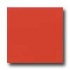Daltile Semi-gloss 4 1/4 X 4 1/4 Coral Bead Tile & Stone