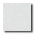 American Olean Integra 12 X 12 Fog Mist Solid Tile & Stone