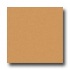 Milliken Harmony 11 X 13 Harvest Area Rugs