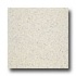 Armstrong Medintech Homogeneous Color Fleck Vinyl Flooring