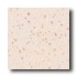 Crossville Cross-colors Lp 6 X 6 Ups White Coral Tile & Stone
