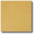 Daltile Porcealto (unpolished) 12 X 12 Giallo (solid) Tile & Sto