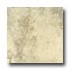 Lafaenza India 2.5 X 2.5 Mosaic Noce Tile & Stone