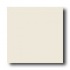 American Olean Bright 6 X 6 Gloss Almond Tile & Stone