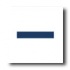 American Olean Sizzle Strips 6 X 2 Navy Tile & Stone
