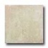 Azuvi Austin 12 X 12 Creme Tile  and  Stone