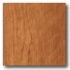 Congoleum Forum Plank - Brentwood Honey Vinyl Flooring