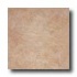 Tesoro Tropical 18 X 18 Walnut Tile & Stone