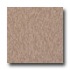 Armstrong Excelon Imperial Texture Cafe Latte Vinyl Flooring