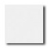American Olean Integra 8 X 8 Ice White Solid Tile & Stone