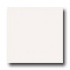Laufen Bright Glaze 6 X 8 White Tile & Stone