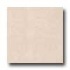 Interceramic Ancient Marbles 8 X 12 Marfil Tile & Stone