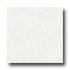 Tarkett Preference Plus Nt - Plainfield 12 White Vinyl Flooring