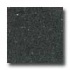 Santa Regina Architectural 24 X 24 (natural) Midnight Terrazzo T