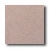 American Olean Terra Granite 12 X 12 Speckled Coral Tile & Stone