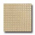 Daltile Maracas Glass Mosaics - Glossy Morning Sun Tile & Stone