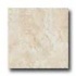 Ragno Princeps 20 X 20 Tiberio No Tile & Stone