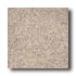 Crossville Cross-colors A 8 X 8 Polished Rainforest Tile & Stone