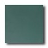 Daltile Designer Colours 8 X 8 Hunter Tile & Stone