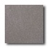 American Olean Terra Granite 12 X 12 Speckled Nantucket Tile & S