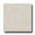 Santa Regina Designer 24 X 24 (natural) Persian Cream Terrazzo T