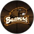 Logo Rugs Oregon State University Oregon State Basketball 4 Ft A