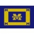 Logo Rugs Michigan University Michigan Area Rug 3 X 5 Area Rugs