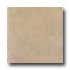 Interceramic Hearthstone 6 X 6 Cinder Tile & Stone