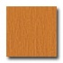 Congoleum Xclusive - Heritage Oak Red Oak Vinyl Flooring