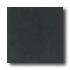 Daltile Designer Colours 12 X 12 Black Tile & Stone