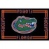 Logo Rugs Florida University Florida Area Rug 3 X 5 Area Rugs